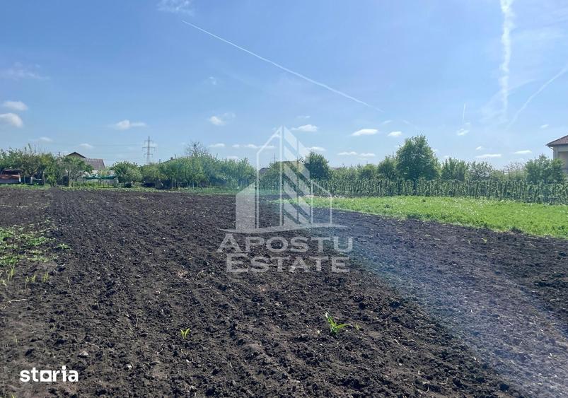 Casă cu 4 camere cu Teren 4898 Mp în Gai