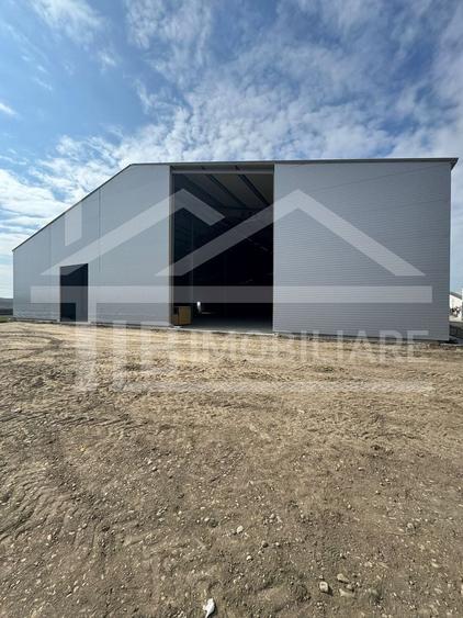 Spațiu industrial, de 1,250 mp, în Cristești