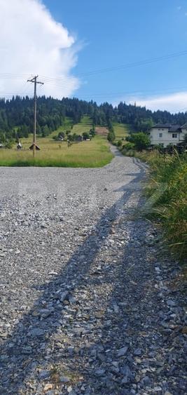 Teren Construcții intravilan de 9755 mp, în Vatra Dornei