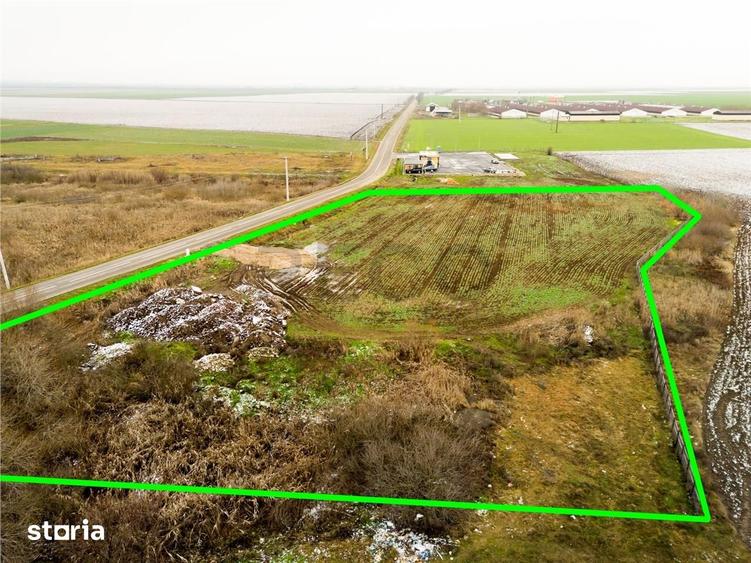 Teren de 5000 mp, în Sânnicolau Român