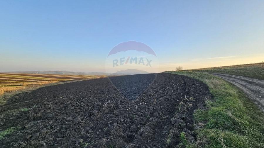 Teren agricol extravilan de 30077 mp, în Stroiești