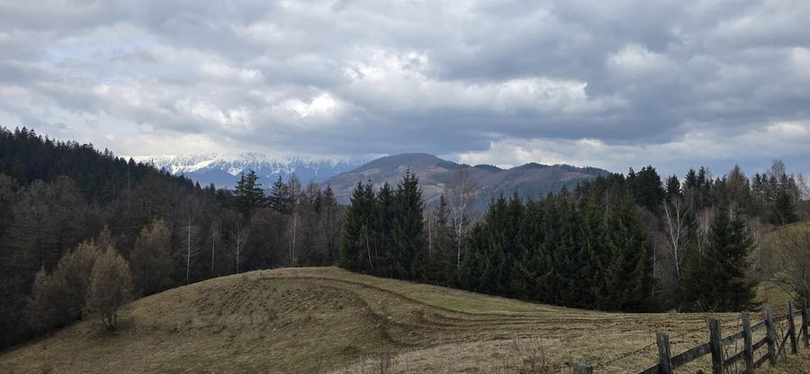 Teren Construcții intravilan de 3040 mp, în Bran