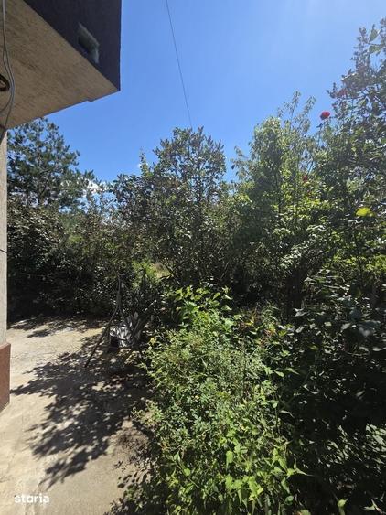 Vila 5 camere-Teren 500 mp-Strada asfaltata-Bragadiru Iederei - 4