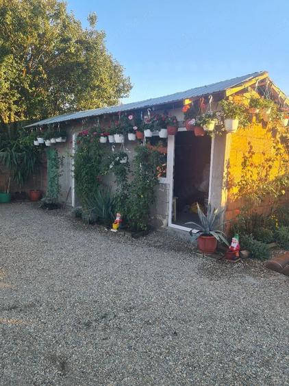Casă cu Teren 476 Mp în Dobreni