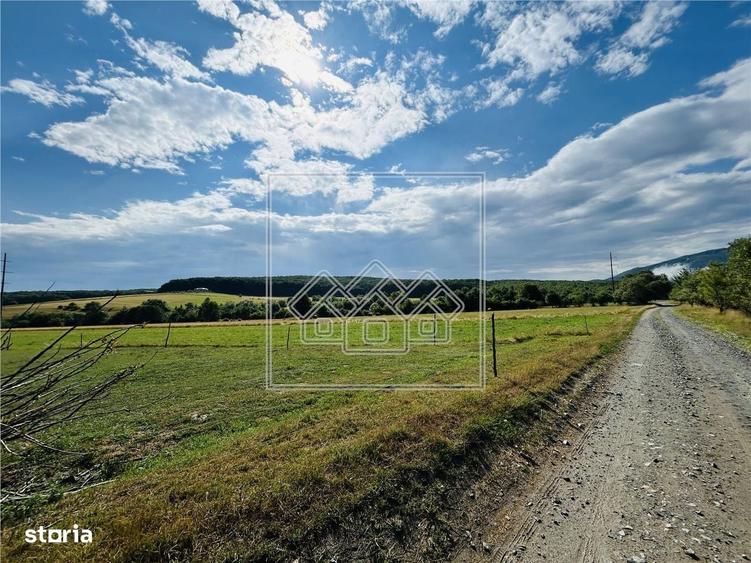Teren intravilan, 5861 mp - Tocile - 6