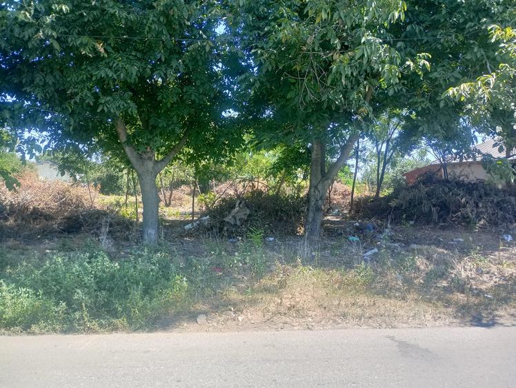 Teren Construcții intravilan de 1360 mp, în Frumușani