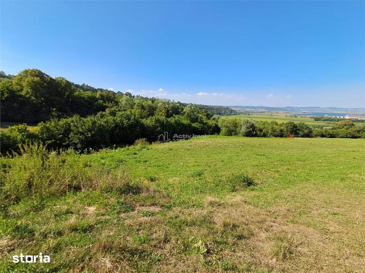 Teren de 17600 mp, în Central