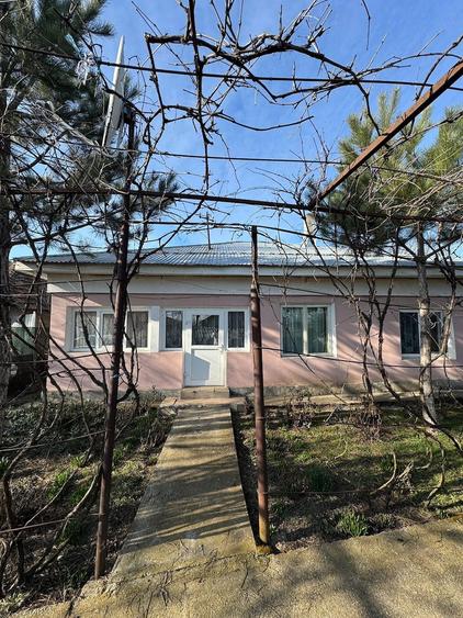 Casă cu Teren 1060 Mp în Moșteni