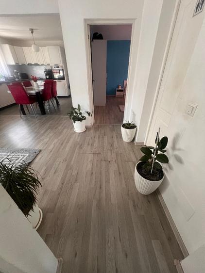 Casă individuală cu 4 camere cu Teren 440 Mp în Sânmihaiu Român