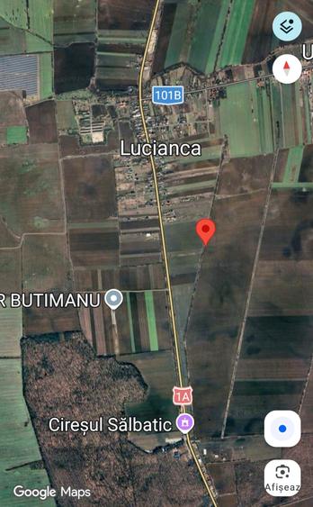 Teren agricol extravilan de 5000 mp, în Lucianca