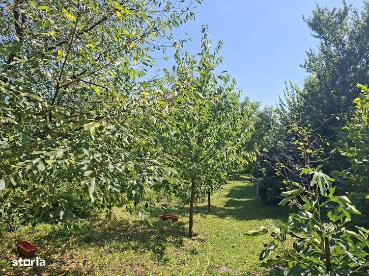 Casă cu 3 camere în Răzvad