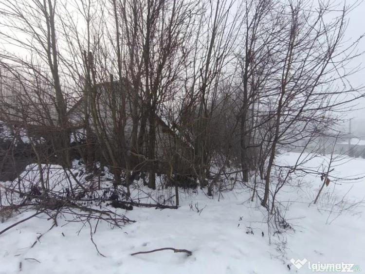 Casă cu 3 camere cu Teren 5000 Mp în Negostina