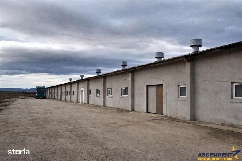 Spațiu comercial, de 800 mp, în Bod
