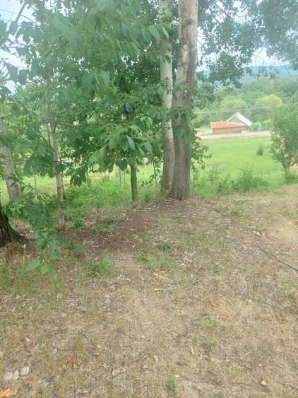 Teren de 1384 mp, în Anghinești