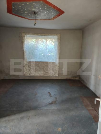 Casă individuală cu 2 camere cu Teren 3750 Mp în Ceanu Mare