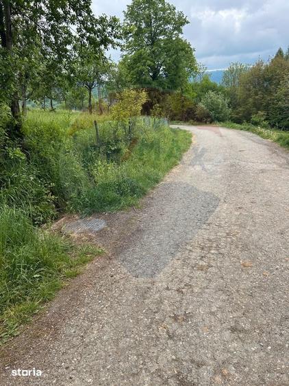 Teren de 2000 mp, în Copalnic