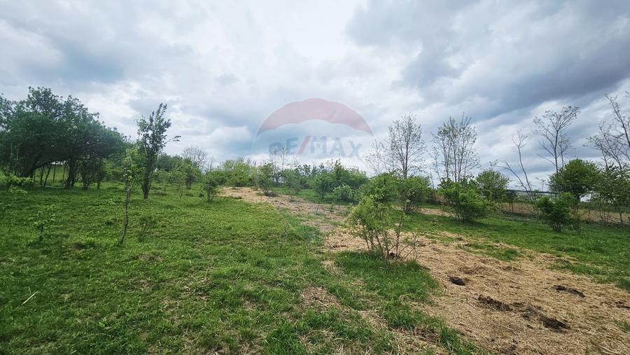 Teren Construcții intravilan de 5350 mp, în Dobreni