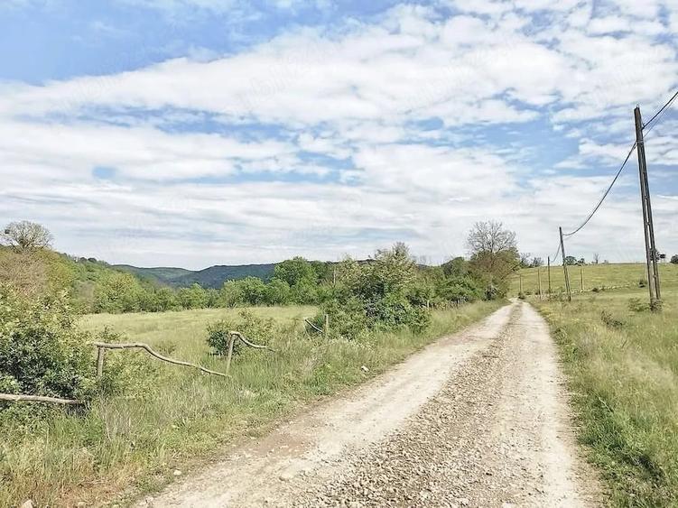 Teren de 2749 mp, în Valea Sălciilor