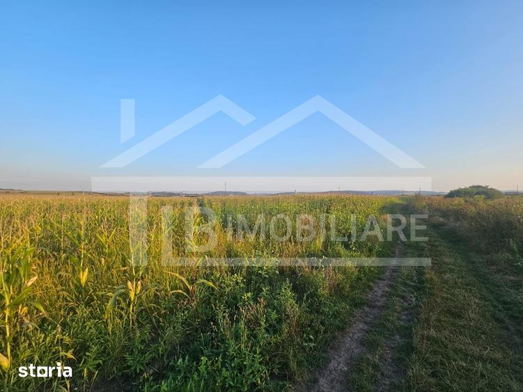Teren de 1476 mp, în Central