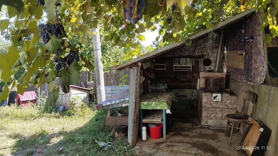 Casă cu Teren 1900 Mp în Sascut