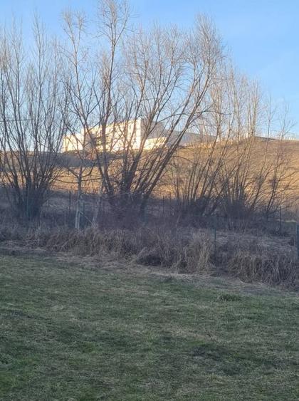 Teren Construcții intravilan de 1253 mp, în Borhanci