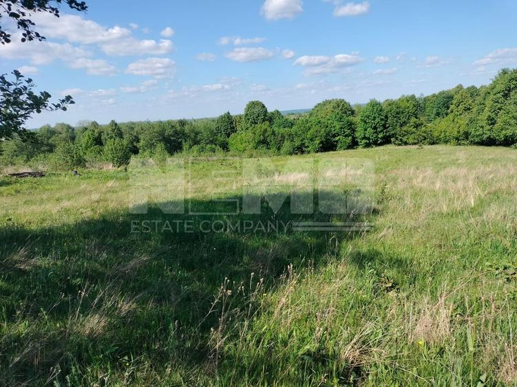 Teren Construcții extravilan de 5000 mp, în Vicovu de Jos