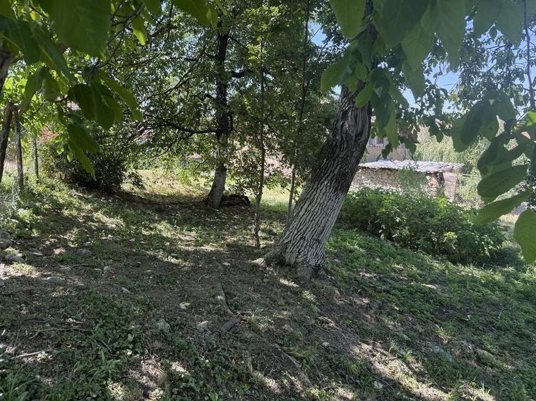 Spațiu comercial, în Potoc