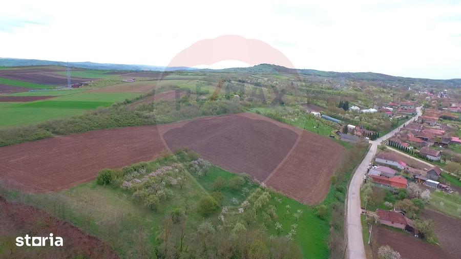 Teren de 10000 mp, în Moldovenești