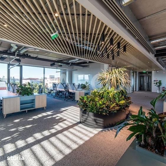 Birouri premium in SibiuSpatii flexibile moderne pentru companii - 4
