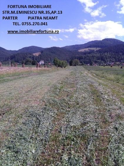 Teren de 3400 mp, în Alexandru cel Bun