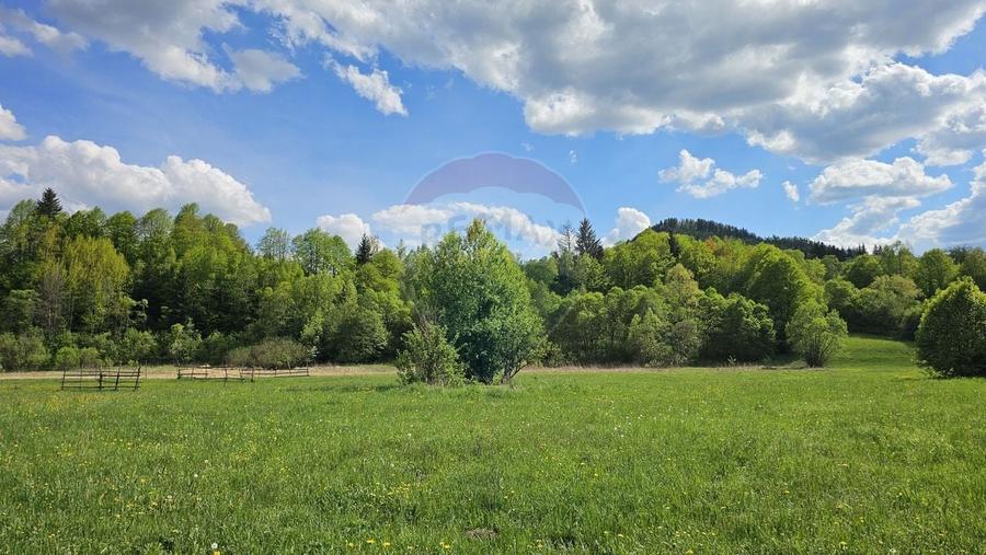 Teren Construcții intravilan de 9010 mp, în Est