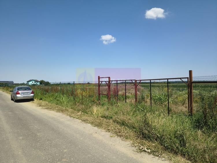 Teren pentru casa aproape de Bucuresti - 1