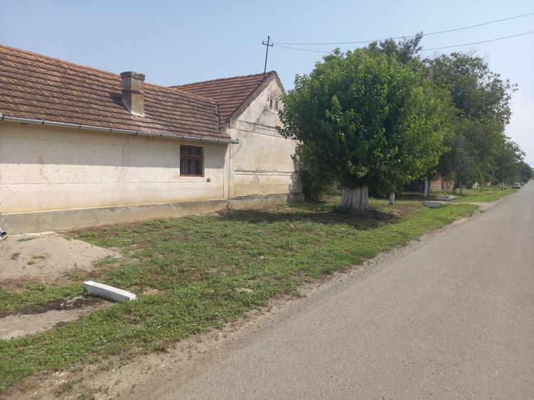 Casă cu 3 camere cu Teren 3956 Mp în Chelmac