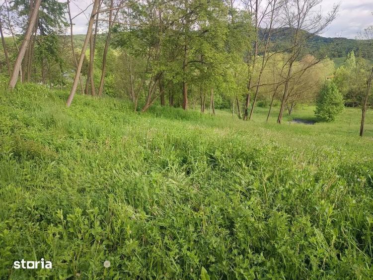 TEREN DE VANZARE IN ZONA DE DEAL | SULTANU | VISINESTI - 1