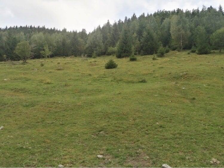 Teren Construcții intravilan de 10000 mp, în Muntele Rece