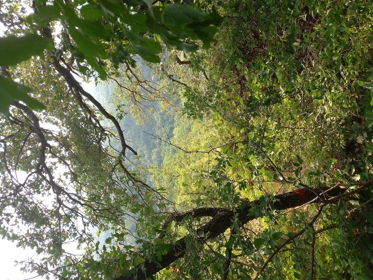 Teren de 27000 mp, în Mănăstirea