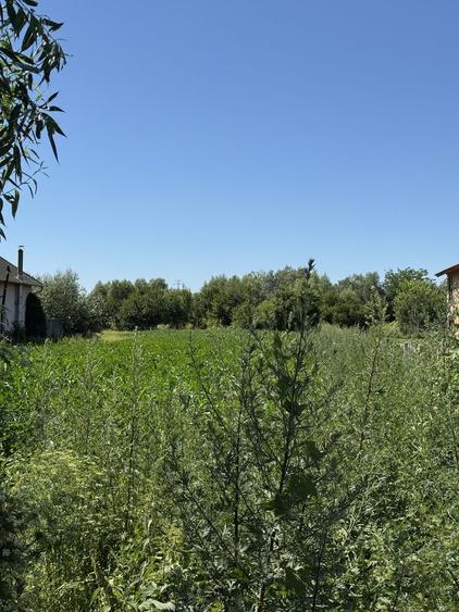 Teren de 2000 mp, în Hălchiu