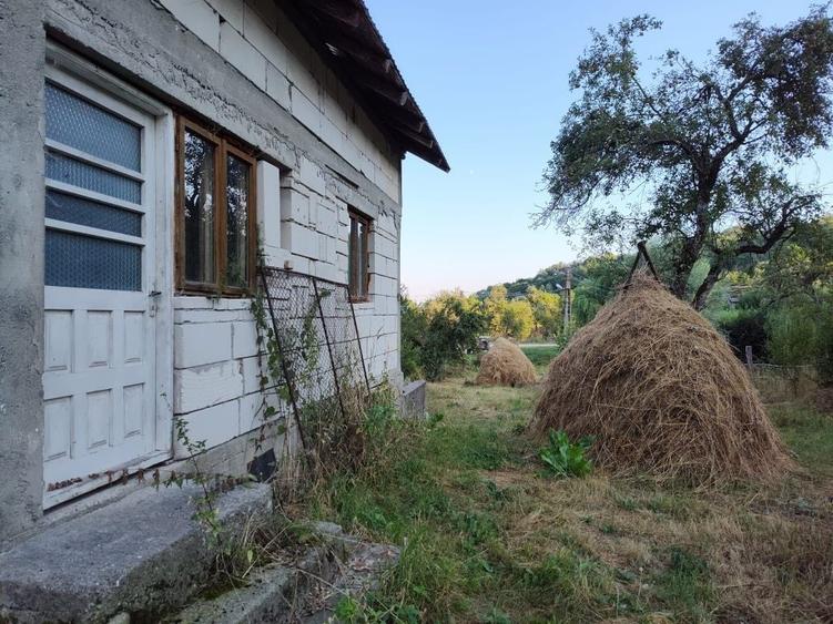 Casă cu 3 camere în Galeșu