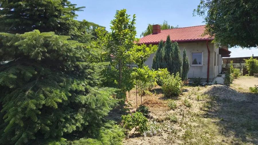 Casă cu 2 camere în Jilava