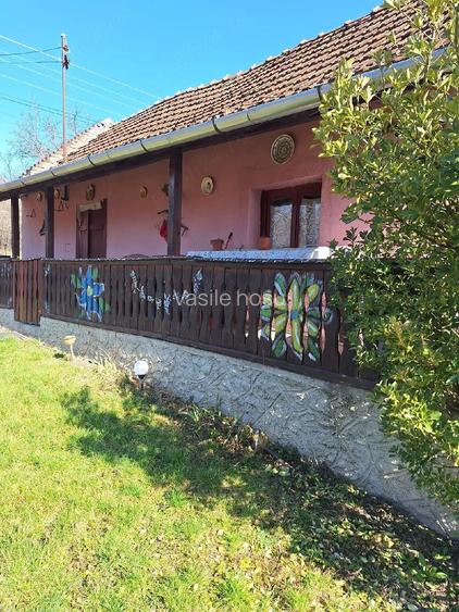Casă cu 2 camere cu Teren 4000 Mp în Ghida