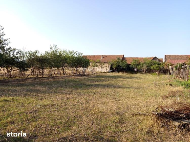 Berliste, Casa 6 Incaperi, 1129mp Teren, Pret Negociabil