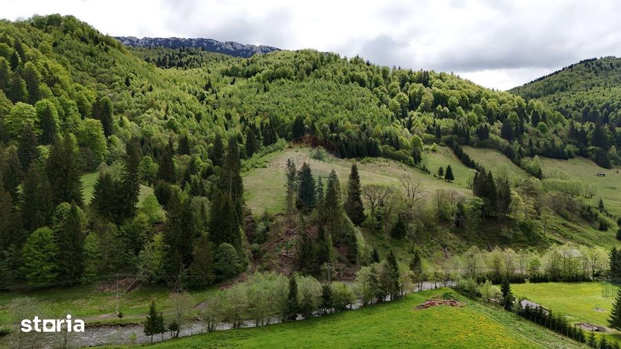 Teren de 48297 mp, în Rucăr