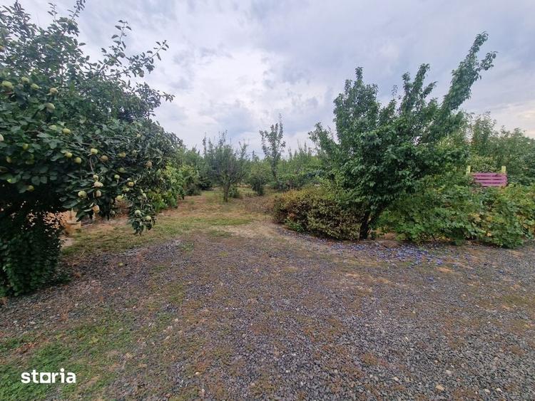 Casă cu 7 camere cu Teren 1500 Mp în Bucovăț