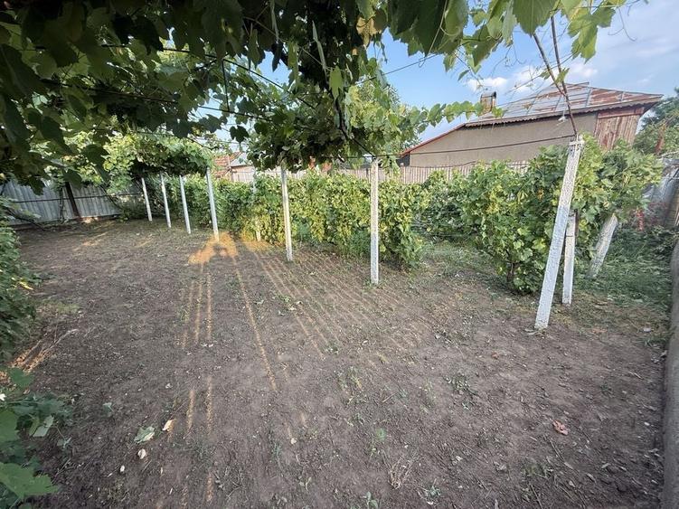 Casă cu 4 camere în Bărăganul