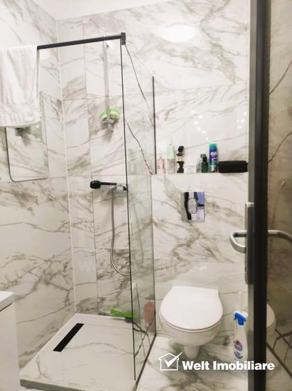 Apartament cu 2 camere, zona Porii - 10