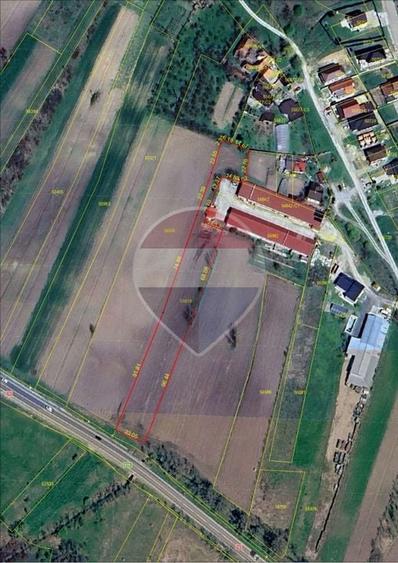 Teren agricol intravilan de 4367 mp, în Hidișelu de Sus