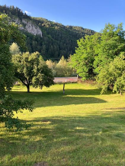 Teren de 1020 mp, în Bran