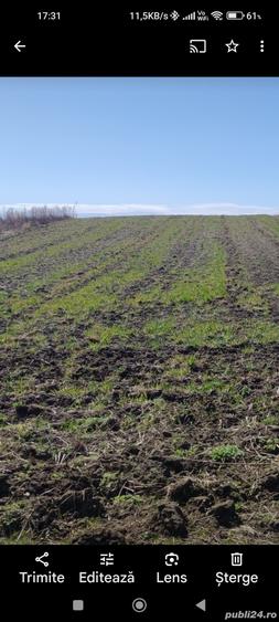 Teren de 5800 mp, în Aiton