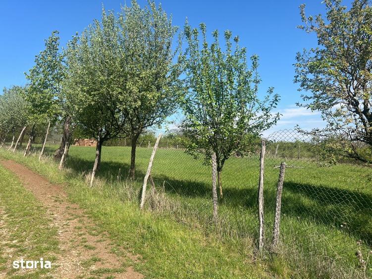 Teren de 700 mp, în Central