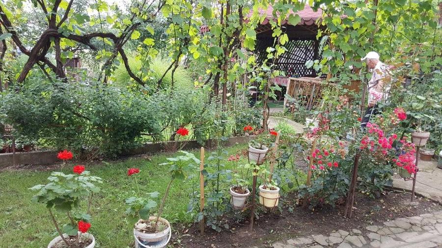 Casă cu 4 camere în Aluniș